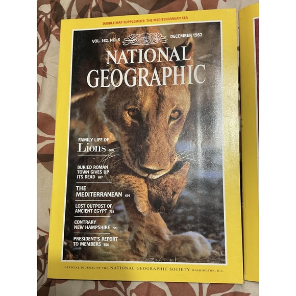 Vintage 1982 National Geographic Magazine Lot Nov Dec Lions Pueblo Pottery Ads - Picture 2 of 6